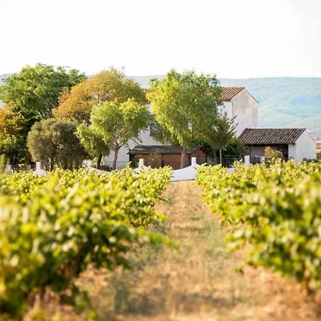 Casa Rural Cal Joli Vilobi Del Penedes